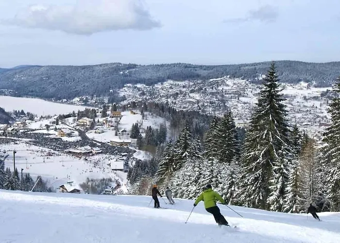 Le Petit Vosgien
